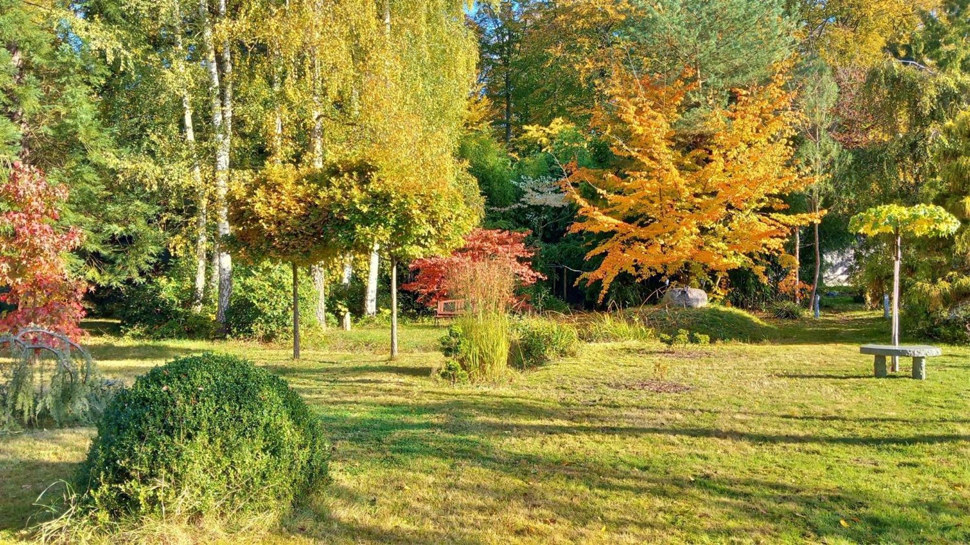 Ostsee Hotel-Pension An Der Lindenallee Bad Doberan Eksteriør billede